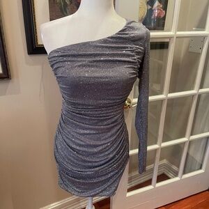 NWOT silver sparkle stretch dress from Emerald Sundae